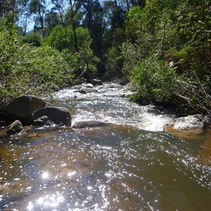 Gibraltar Creek - Woods Reserve, ACT