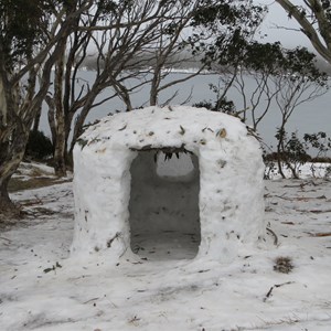 Shelter with ice window