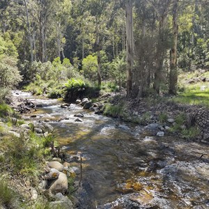 Leather Barrel Creek Camping and Rest Area