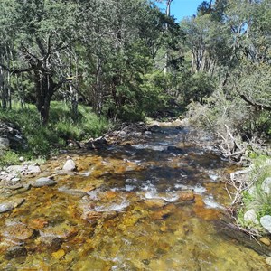 Leather Barrel Creek Camping and Rest Area