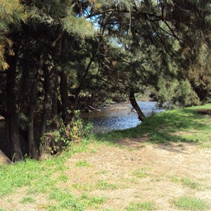 Jounama Creek Camp Area
