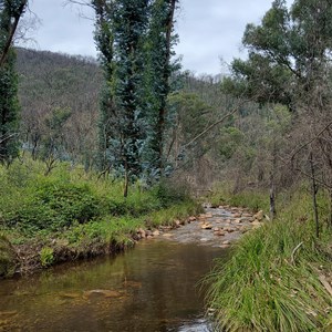 Jounama Creek, March 2021