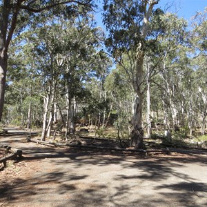 Camping and picnic area