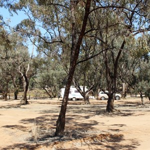 Free camping area beside the Moonee River
