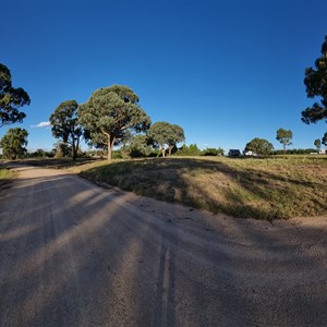 Macquarie Woods