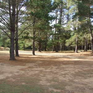 Dalys Clearing Campground, Belanglo State Forest
