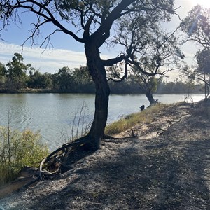 Bottle Bend Forest Reserve