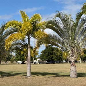 Baffle Creek Caravan & Camping Park