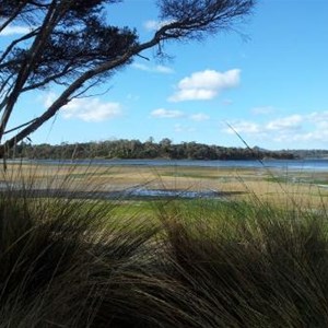 View of Redbill Point Conservation Area