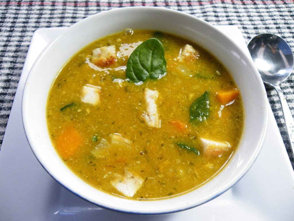 LEFTOVER CHICKEN AND ROAST VEGGIE SOUP @ ExplorOz Recipes