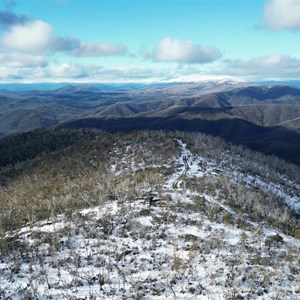 Mount Sassafras