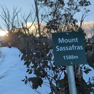 Mount Sassafras