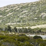 Road to Great Lake Tasmania