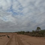 Ikara(Flinders Ranges) NP South Australia