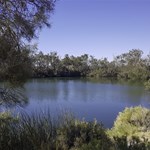 Dalhousie Springs South Australia