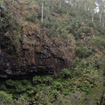 Bindaree Falls Victoria