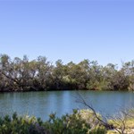 Dalhousie Springs South Australia