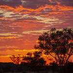 Batton Hill Sunset Northern Territory