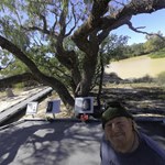Burke & Wills Dig Tree Queensland