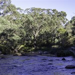 Murray River Victoria