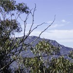 View from Rams Horn Track lookout