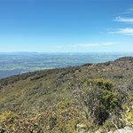 Mt William View