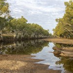 Karlamilyi National Park