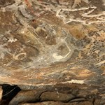 Rock Art-Desert Queen Baths