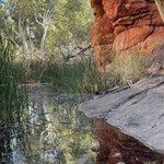 Canning Stock Route 2025