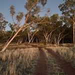 Canning Stock Route 2025