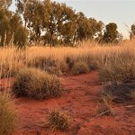 Canning Stock Route 2025