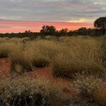 Canning Stock Route 2025