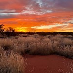 Canning Stock Route 2025