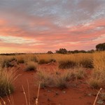Canning Stock Route 2025