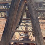 Canning Stock Route 2025