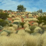 Canning Stock Route 2025