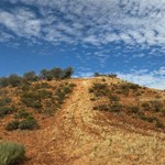 Canning Stock Route 2025