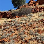 Canning Stock Route 2025