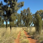 Canning Stock Route 2025