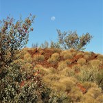 Canning Stock Route 2025