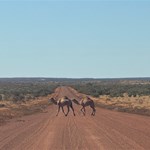 Canning Stock Route 2025