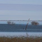 Canning Stock Route 2025