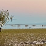 Canning Stock Route 2025