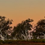 Canning Stock Route 2025