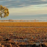 Canning Stock Route 2025