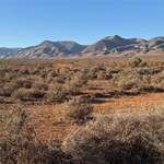 Canning Stock Route 2025