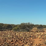 Canning Stock Route 2025