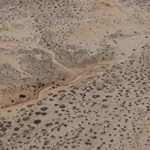 Canning Stock Route 2025