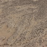 Canning Stock Route 2025