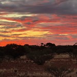 Canning Stock Route 2025